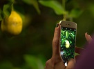 Pre-Opening zum CSR-Tag 2015 im Bio-Zitrusgarten